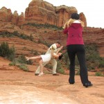 couple getting picture taken at popular wedding venue