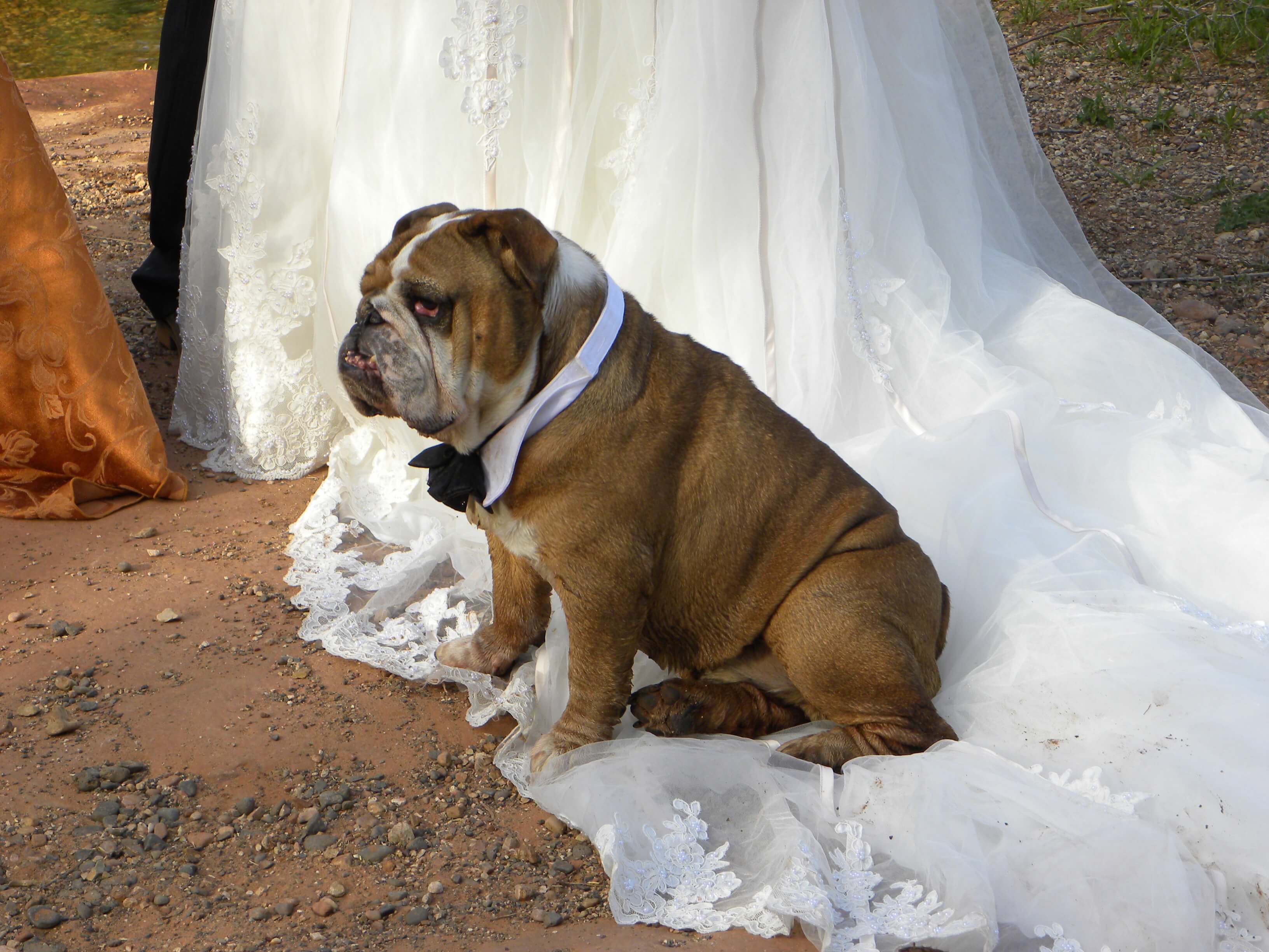 Sedona Best Man