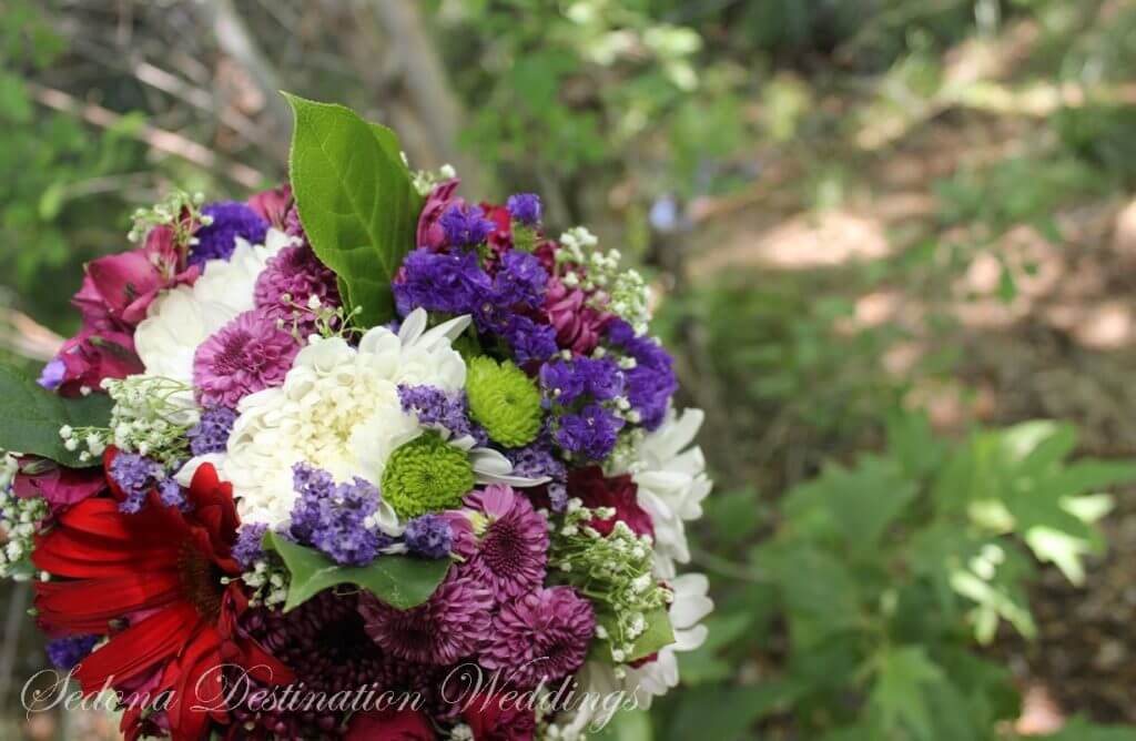 Natalia and Michael Sedona Wedding